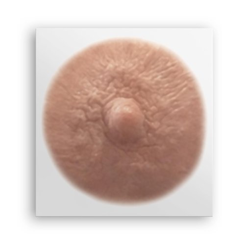 TataTattoos Temporary Realistic Nipple/Areola Tattoos – Non-Surgical for Mastectomy Recovery – for Post Breast Cancer Surgery (Cream, Medium (Pack of 20))