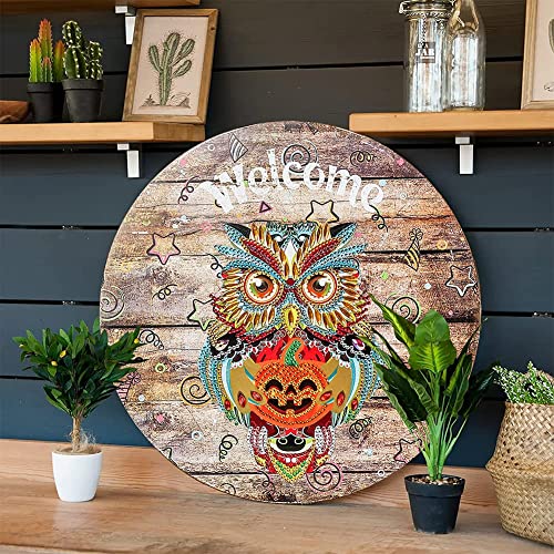 Owl Welcome Sign for Front Porch - Interchangeable Seasonal Door Decor with Diamond Painting Rhinestones