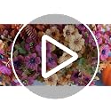 Artificial Fall Flowers Set with UV-Resistant Mums & Plants - Red Orange