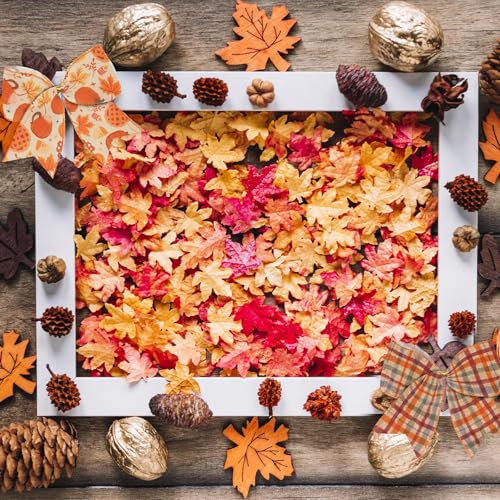 Fall Pumpkins and Maple Leaf Wired Edge Ribbon Set - 2 Rolls, 5 Yards Each, Autumn Thanksgiving Decor