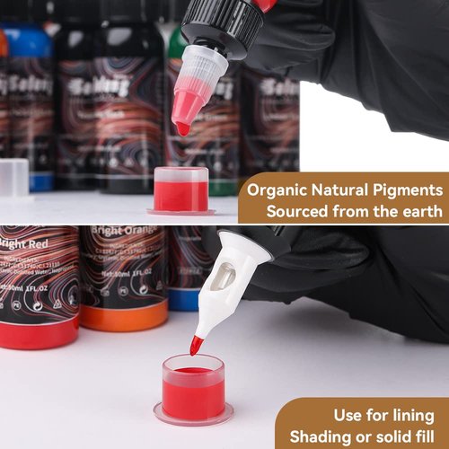 16PCS Tattoo Ink Color Set, Solong Tattoo Ink 1oz (30ml) Pigment Kit for Tattoo Kit Tattoo Ink Set TI302S-30-16