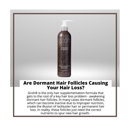 Groh Restorative Shampoo, 8oz.