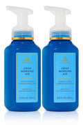 Bath and Body Works Gentle & Clean Foaming Hand Soap 8.75 Ounce 2-Pack (Crisp Morning Air)