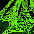 Giant Green Halloween Spider Web Netting - 1400 Sqft Outdoor Decoration with Glow in The Dark Spider, 48FT x 4FT Variation of This Listing