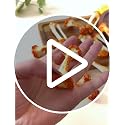 6PCS Artificial Chicken Leg Bone Model - Realistic Food Props & Decor