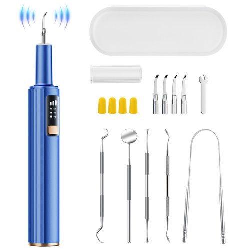 Plaque Remover for Teeth, Dental Tools, Teeth Cleaning Tools with 4 Replaceable Heads, 6-in-1 Dental Pick, LED Light, Waterproof, Rechargeable for Home & Travel Use