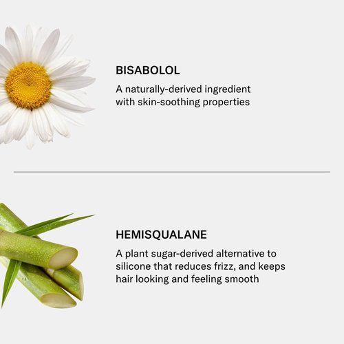 SEEN Shampoo Eco-Refill - Fragrance-Free, Non-Comedogenic Formula for Sensitive Skin | Dermatologist-Developed