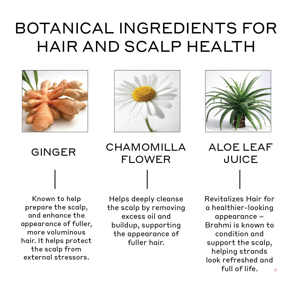 ZENAGEN Revolve Conditioner - Supports Scalp Health & Fuller Hair for Fine, Thinning Hair | Vegan & Color-Safe