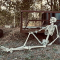 6FT Posable Skeleton Decoration for Halloween Indoor Outdoor - Weatherproof Halloween Prop