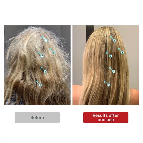 DS Labs Nia Fix Bond Care Treatment - 2-Step Strengthening & Smoothing System for Damaged Hair, Helps Reduce the Look of Split Ends & Breakage from Color, Bleach & Heat
