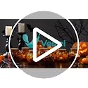 Blue Coastal Fall Pumpkin Decor Glass Jars - Set of 12 - Vesici