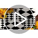 Black and White Harlequin Table Runner 13x108 Inches - Tea Party Decor