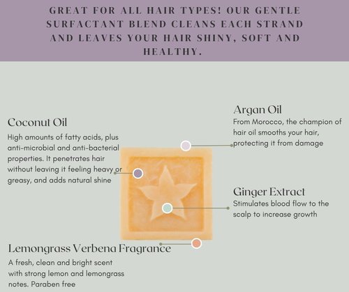 Skiennix Shampoo Bar - Lemongrass Verbena Fragrance, Salon Quality Solid Shampoo with Argan Oil - Sulfate Free, Vegan, Eco-Friendly