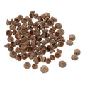 200pcs Natural Acorn Caps for Crafts Rustic Fall & Holiday Decor