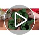 Large Paper Flower Decorations - 18pcs Mixed Sizes for Wedding, Party & Holiday Backdrops