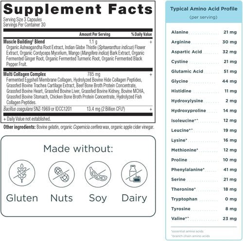 Ancient Nutrition Multi Collagen Protein Capsules - Support Muscle Health | 90 Count