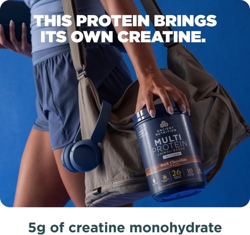 Ancient Nutrition Multi Protein Powder - 26g Protein, Grass-Fed Whey & Creatine, Dark Chocolate, 15 Servings