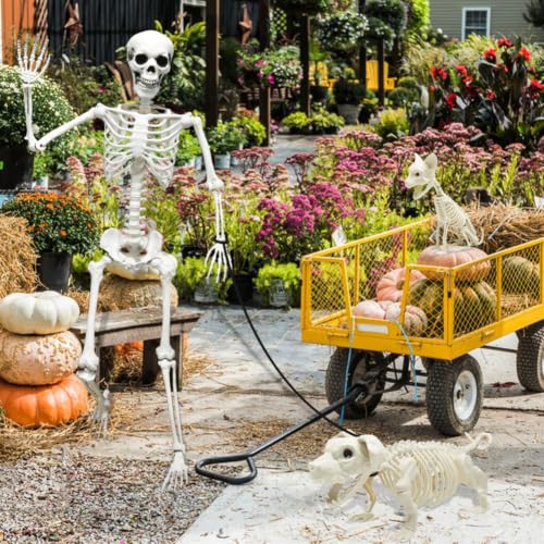 5.4ft Halloween Full Size Skeleton with Dog and Cat — Haunted Party Decor