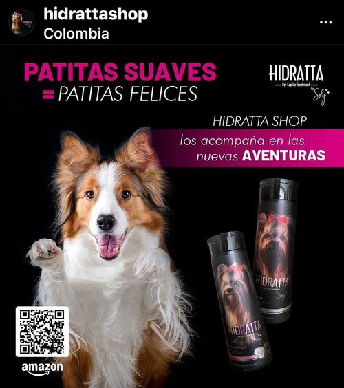 Hidratta Premium Dog & Cat Hydrating Shampoo + Mask Kit – Henna & Natural Oils for Shiny, Tangle-Free Coat – 12.5 oz / 370 ml Set