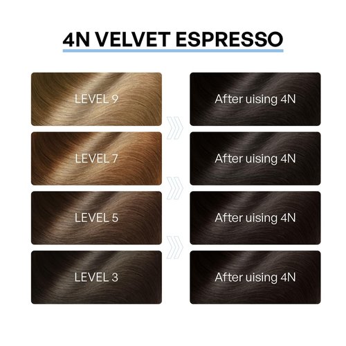 Skiennix Professional Hair Dye - 100% Gray Coverage Plant Extract Formula | Hypoallergenic | 4N Velvet Espresso