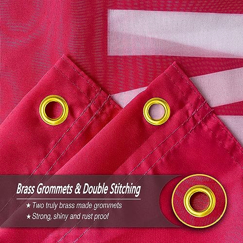 Funny Pink College Dorm Flag 3x5 Ft Wall Banner for Room Decor - Momma Ain't Raise No Bitch Gift