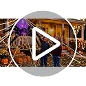 6FT Halloween Inflatable Spider Decor with LED Eyes - Outdoor Lawn & Garden Decoration