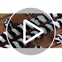 Halloween Worm Garland with Black and White Ornaments - 5ft Spooky Decor