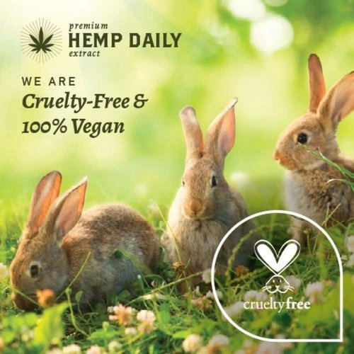 Hemp Daily Shampoo and Conditioner | Hemp, Argan, and Essential Oils | THC-free | 16 fl oz (Shampoo + Conditioner)