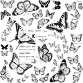 Black Butterfly Temporary Tattoo for Women Girls - Butterfly2 Variation