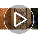 Lightshare 6FT Lighted Willow Tree with Warm White LED Lights - Black Variation