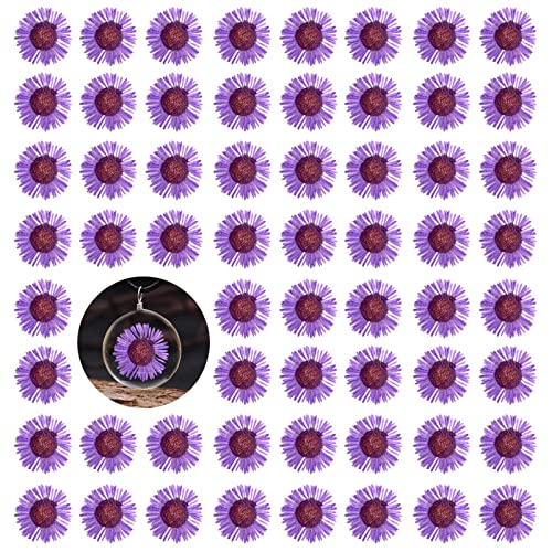 Purple Needle Chrysanthemum Flowers for Resin Jewelry & Craft - 60PCS, Variation: Needle Chrysanthemum-Purple