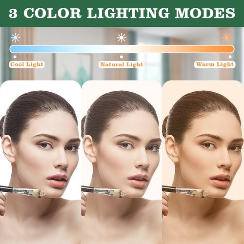 Leadzones Rechargeable Desk Vanity Makeup Mirror with Lights,8x6 Inch Folding Portable Mirror with Metal Stand Adjustable Rotation,Tavel Make Up Mirror for Table