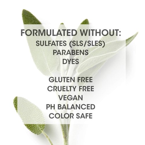 SEVEN Haircare Satara Volume Shampoo - Sulfate & Paraben Free | Pro Vitamin B5 & Argan Oil, 32oz