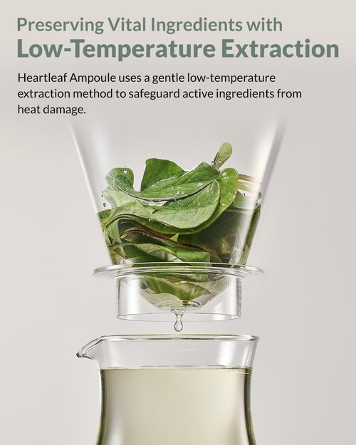 HERBNOTE Heartleaf Soothing Moisture Toner - Low pH, 80% Heartleaf Extract, Enriched with Houttuynia Cordata & Green Tea, Clinically Tested, No Irritation - Ideal for Sensitive Skin, 6.76 f l. oz