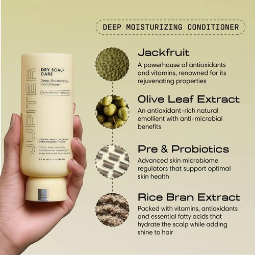 Jupiter Hydrating Shampoo & Conditioner Set - Moisturizing Hair Care for Daily Scalp Hydration | Color-Safe, 14 fl. oz. Each