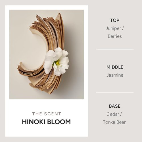 Hinoki Bloom Korean Rice Water Shampoo - Volumizing & Nourishing for Thinning Hair - 500ml / 16.90 fl oz