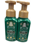 Bath and Body Works 2 Pack Winter Citrus Wreath Gentle Foaming Hand Soap 8.75 Oz