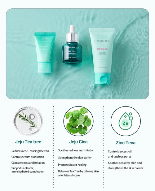 BRING GREEN TEA TREE CICA SET | Korean Skin Care Kit for Acne-Prone, Sensitive Skin | Zinc Teca Serum, Tea Tree Hydrating Moisturizer & Deep Cleansing Foam | Oil Control & Pore Care | K-Beauty Gift