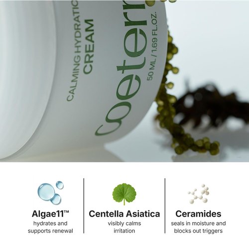 coeternal Calming Hydration Cream, Barrier-Repairing Korean Moisturizer with Ceramide NP, Niacinamide, Panthenol & Centella, Soothing Face Cream for Redness-Prone and Oily Skin, 50ml / 1.69 fl.oz.