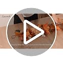 Burnt Orange Fall Garland with Lights - 6ft Autumn Decor with Fruits & Dahlia