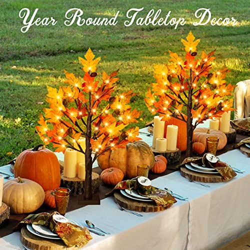 2-Pack 2FT Lighted Maple Tree Decor - Fall LED Thanksgiving Tabletop Lamp with 6 Acorns & Timer
