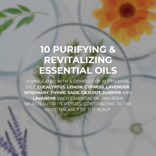 PHYTO POLLEINE Fortifying Balancing Concentrate - 100% Plant-Based Pre-Shampoo Scalp Treatment with 10 Essential Oils - Cleanses & Revitalizes All Scalp Types - 1.01 fl oz
