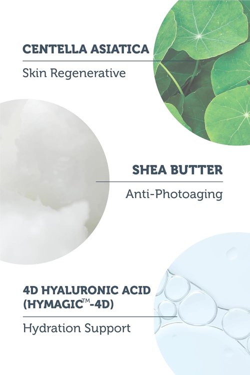 Purest Solutions Invisible UV Protection Daily Moisturizer SPF 50+ | Hydrating Hyaluronic Acid & Shea Butter | Anti-Aging Care for All Skin Types (1.69 fl. oz)