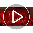 24 Inch 180LED Christmas Window Silhouette Lights - Double Side Holiday Decor - Merry Christmas Variation of THIS listing