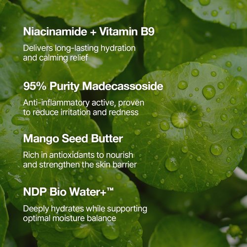 NDP Vitamin B9 Tone-Up Cream - Silicone-Free Face Primer for Pore Minimizing | 95% Pure Cica Extract, Lightweight (65ml / 2.19 Fl Oz)