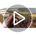 Artificial Wicker Pumpkin Set - Fall Halloween Centerpieces, 7.87 x 7.87 Inches