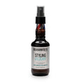 Beardburys Texturizing Sea Salt Spray for Men - Volume & Shine for Beachy Hairstyles | 8.5 Oz