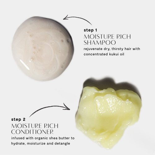 Prive Moisture Rich Conditioner - Nourishes Dry Hair & Smoothes Frizz | Organic Shea Butter (12 Oz)