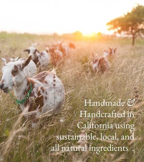 Goat Milk Body Lotion - Fragrance-Free Natural Moisturizer for Dry Sensitive Skin | Fast-Absorbing & Non-Greasy - 16oz