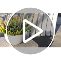 Black Artificial Flowers Outdoor Fake Grass Decor - 10 Bundles Halloween & Gothic Style